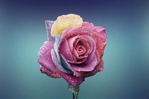 Підвищена пітливість або гіпергідроз Підвищена пітливість або гіпергідроз